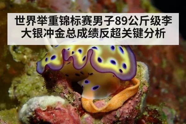 世界举重锦标赛男子89公斤级李大银冲金总成绩反超关键分析